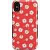 Daisy Daydream | Red Coral Floral