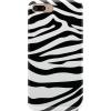 Into the Wild | Zebra